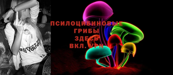 тгк Белокуриха