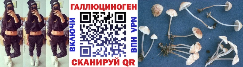 что такое   OMG как войти  Галлюциногенные грибы Magic Shrooms  Навашино 